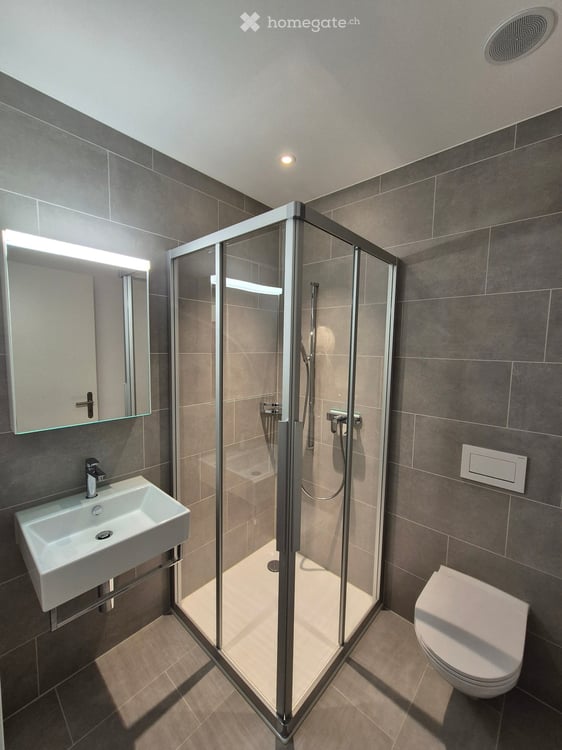 Vermietung einer Designerwohnung in der steuergünstigen Gemeinde Baar im Ortsteil Allenwinden 6