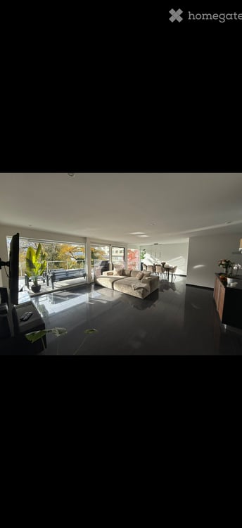 Helle 4.5-Zimmer-Terrassenwohnung mit Panoramablick in Rieden AG 2