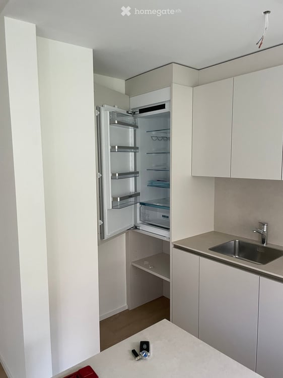 Helle, neu renovierte 4.5-EG-Zimmer-Wohnung an ruhiger Lage in Meilen mit grosser Terrasse 7