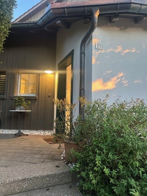 Exterior view of a modern house with a dark green facade, a small porch area, and potted plants near the entrance.
