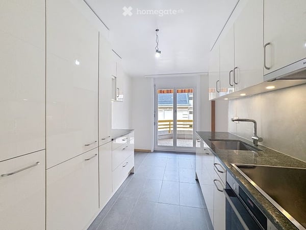 Grand appartement 3,5 pièces avec balcon et terrasses 3