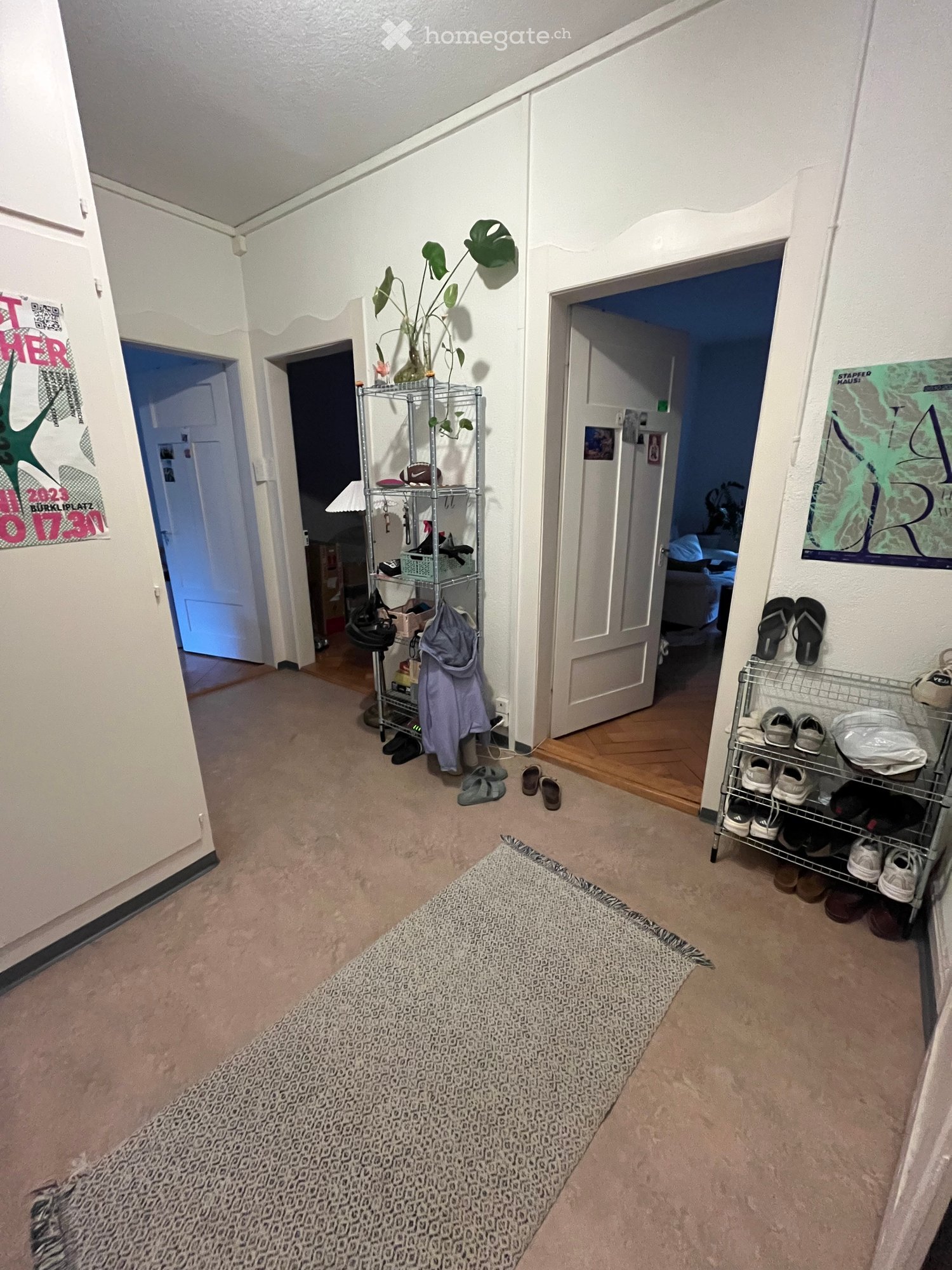 Carpeted hallway with two shoe racks, a small plant on a shelf, and doors leading to other rooms.