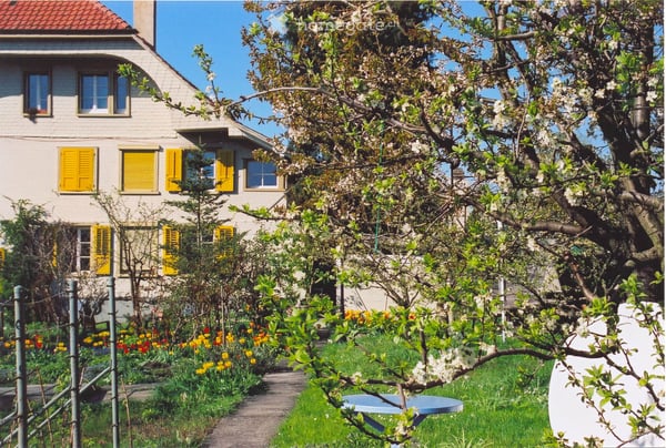 Renovierte, grosse und sehr helle 2.5-Zimmerwohnung 9