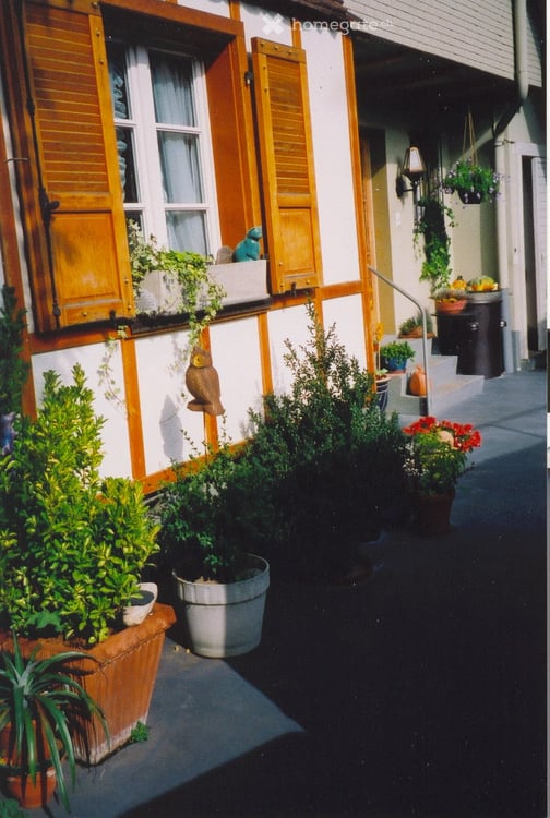 Renovierte, grosse und sehr helle 2.5-Zimmerwohnung 13