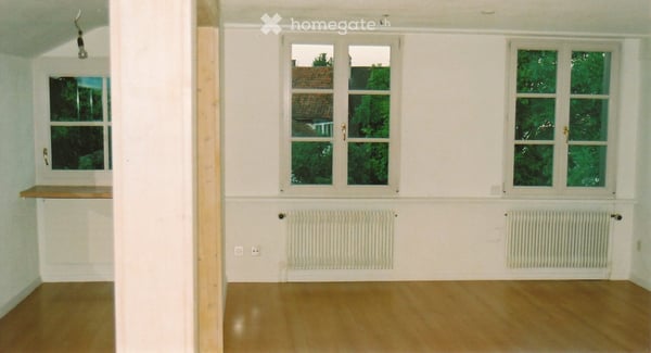 Renovierte, grosse und sehr helle 2.5-Zimmerwohnung 5