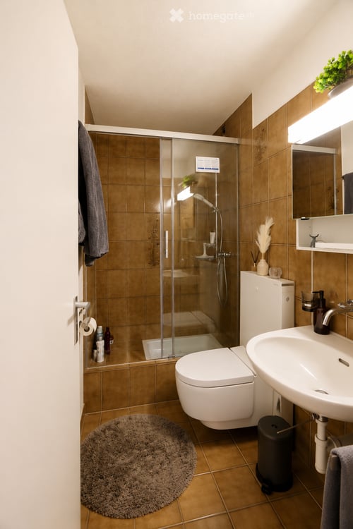 Gepflegte 4.5-Zimmer-Wohnung in Zürich Albisrieden 15