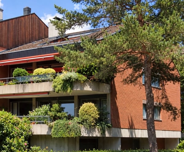 Helle 5.5-Zimmer-Wohnung in ruhiger Lage in Zumikon 5