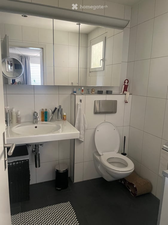 Grosszügige helle 2.5-Zimmer-Terrassenwohnung in Untersiggenthal 7