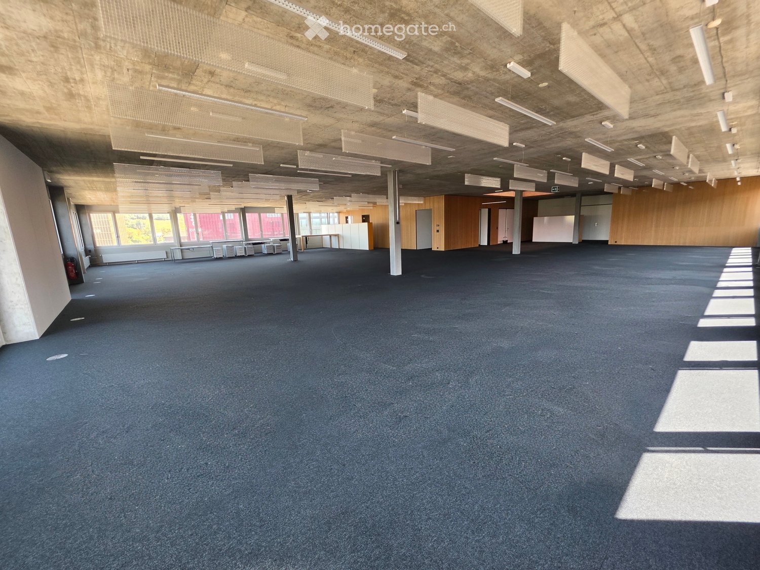 Large, empty room with blue carpeted floor, exposed concrete ceiling with linear lighting, and large windows allowing natural light. Minimalist design with no furniture.