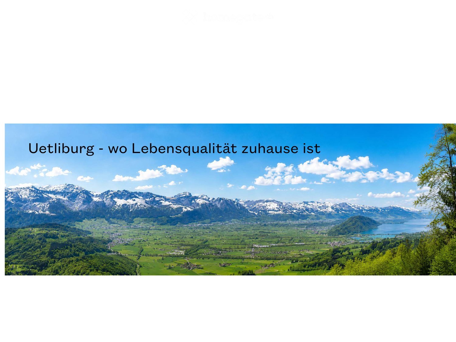 Panoramic view of a lush green valley with snow-capped mountains in the background, a lake, and scattered houses.