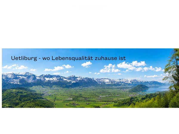 Uetliburg - wo Lebensqualität zuhause ist - 4.5 Zimmer-Wohnung Neubau 1