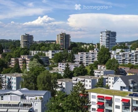 Frisch sanierte Wohnung mit Balkon & Naturblick im Herzen von Effretikon