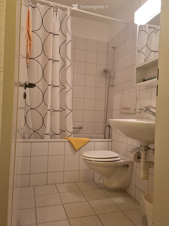 Möblierte 2-Zimmer-Wohnung in Basel, Sperrstrasse 45 6