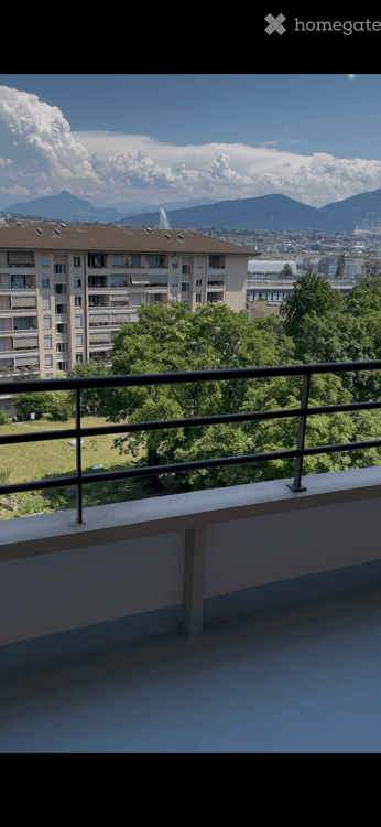 Charming 1-Room Apartment with Balcony and Stunning Views in Geneva 5