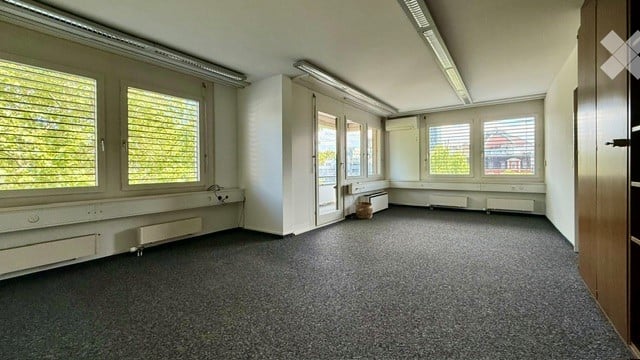 Empty room with large windows, carpeted floor, white walls, and radiators. No furniture or equipment present.