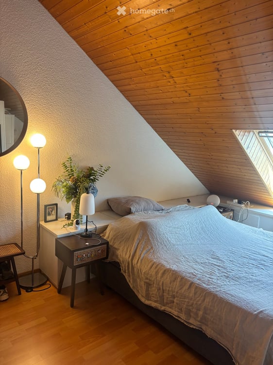 90m2 Loft Apartment with beautiful terrace in the heart of Lausanne 4