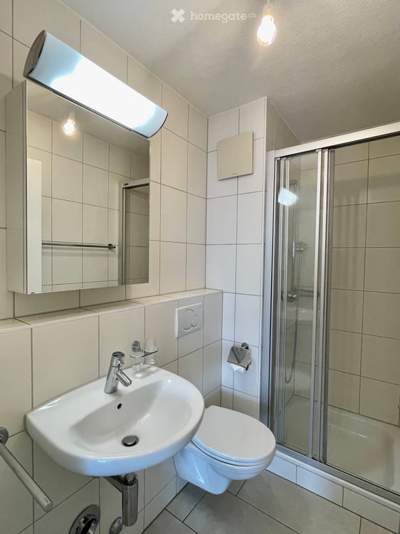 Schöne, helle, ruhige und neu renovierte 4.5-Zimmerwohnung mit grossem Balkon nach Vereinbarung 13