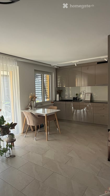 Moderne 2.5-Zimmer-Wohnung in Dübendorf – renoviert und tierfreundlich
