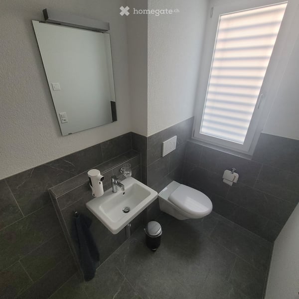 Modernes 5.5-Zimmer-Reihenhaus in Embrach – Neubau zu vermieten 5