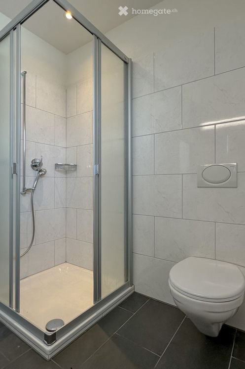 Grosszügige 6.5-Zimmer-Maisonette-Wohnung in 2-Familienhaus 14