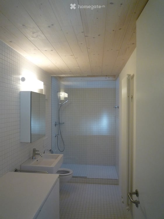 2-Zimmer-Wohnscheune in Ricketwil (bei Winterthur) 10