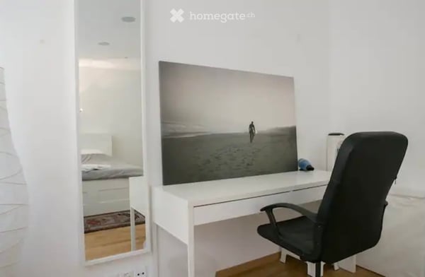 Furnished Apartment in Geneva (Eaux-Vives) / Appartement meublé à Eaux-Vives 6