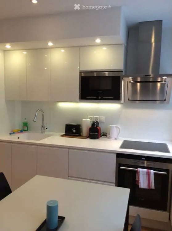 Furnished Apartment in Geneva (Eaux-Vives) / Appartement meublé à Eaux-Vives 4