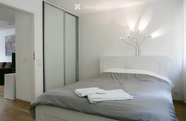 Furnished Apartment in Geneva (Eaux-Vives) / Appartement meublé à Eaux-Vives 5