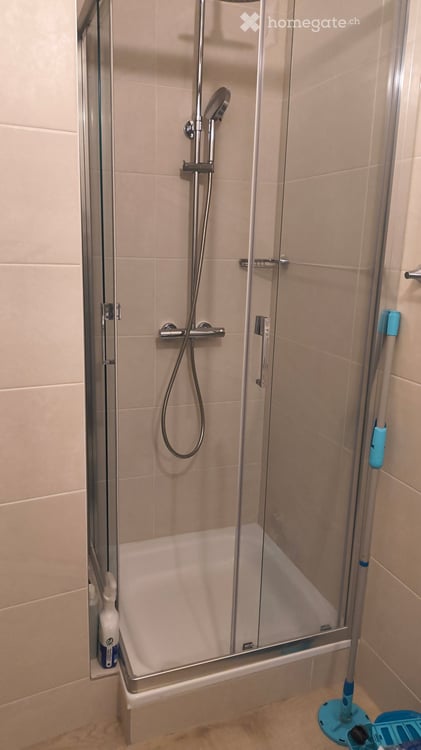 Grand studio de 25 m2 rénové et lumineux à Grand-Lancy 5