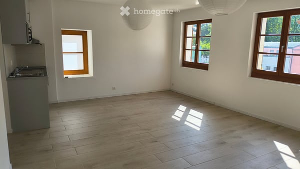 Grand studio de 25 m2 rénové et lumineux à Grand-Lancy 1