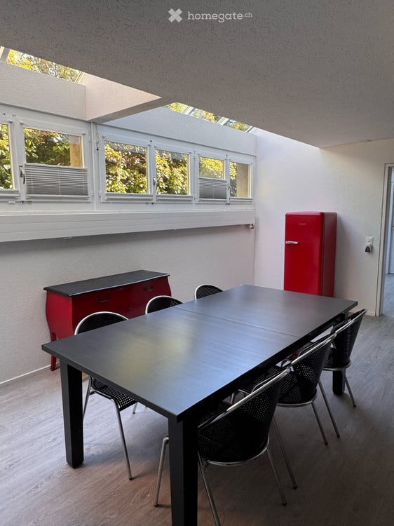 Modernes Loft-Apartment im Untergeschoss in Bottmingen – sofort verfügbar! 2