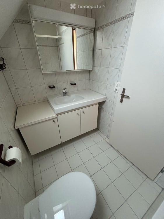 Helle, charmante 2.5-Zimmer-Dachwohnung in Zürich Albisrieden 6