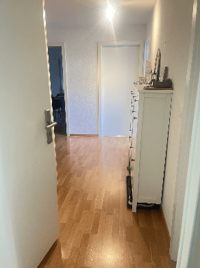 A narrow hallway with light wooden flooring, white walls, and a closed door at the end. A small cabinet with drawers is visible on the right side.