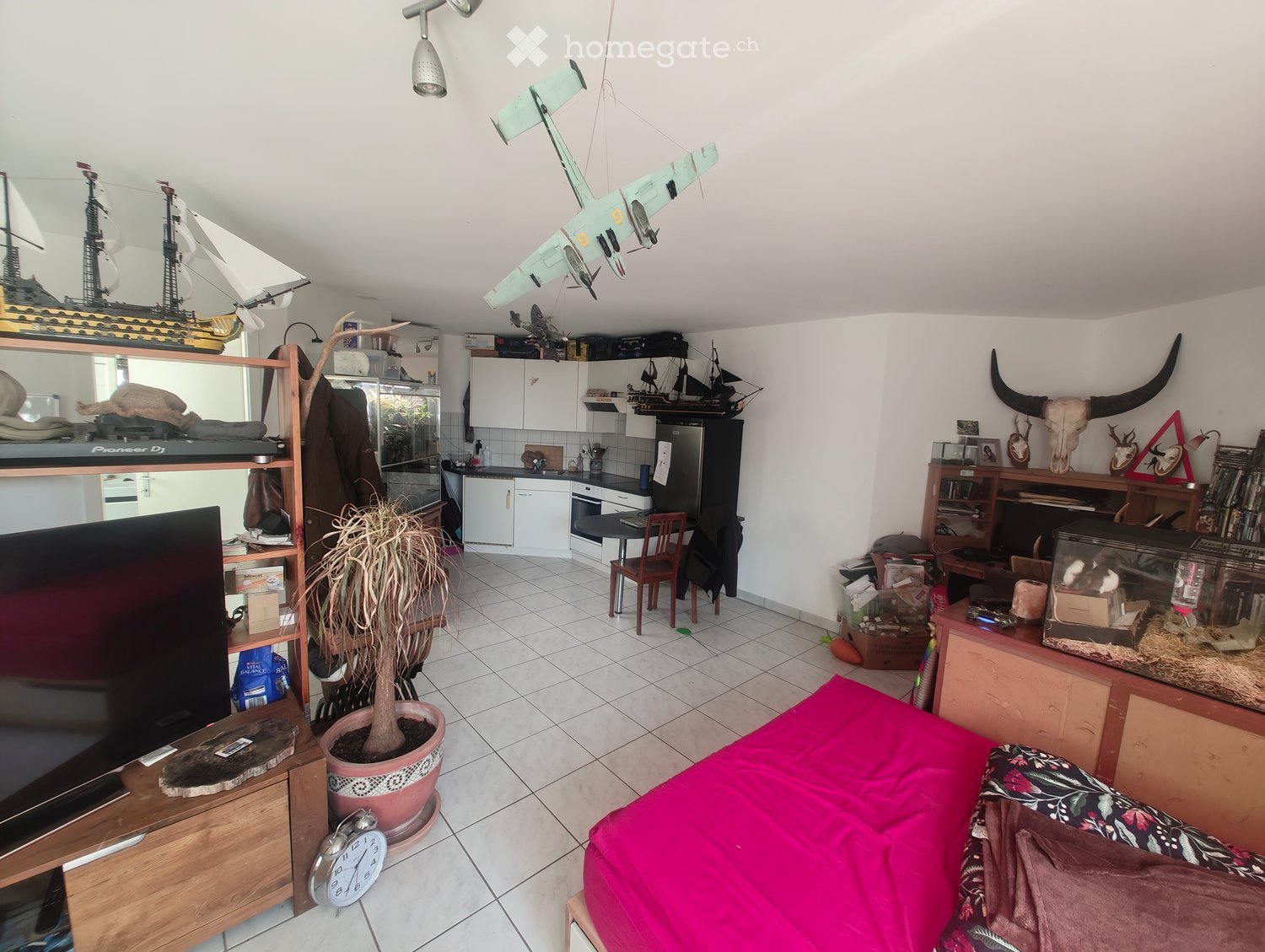 A multi-functional room with a bed, sofa, TV, kitchen area, shelves, and various decorative items.