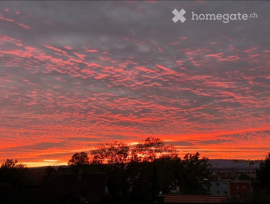 View of a cityscape at sunset from a balcony, with colorful clouds and silhouettes of trees and buildings.