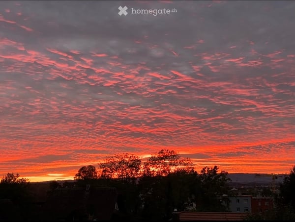 Charmante 5-Zimmer-Wohnung mit Balkon und herrlicher Aussicht in Baar
