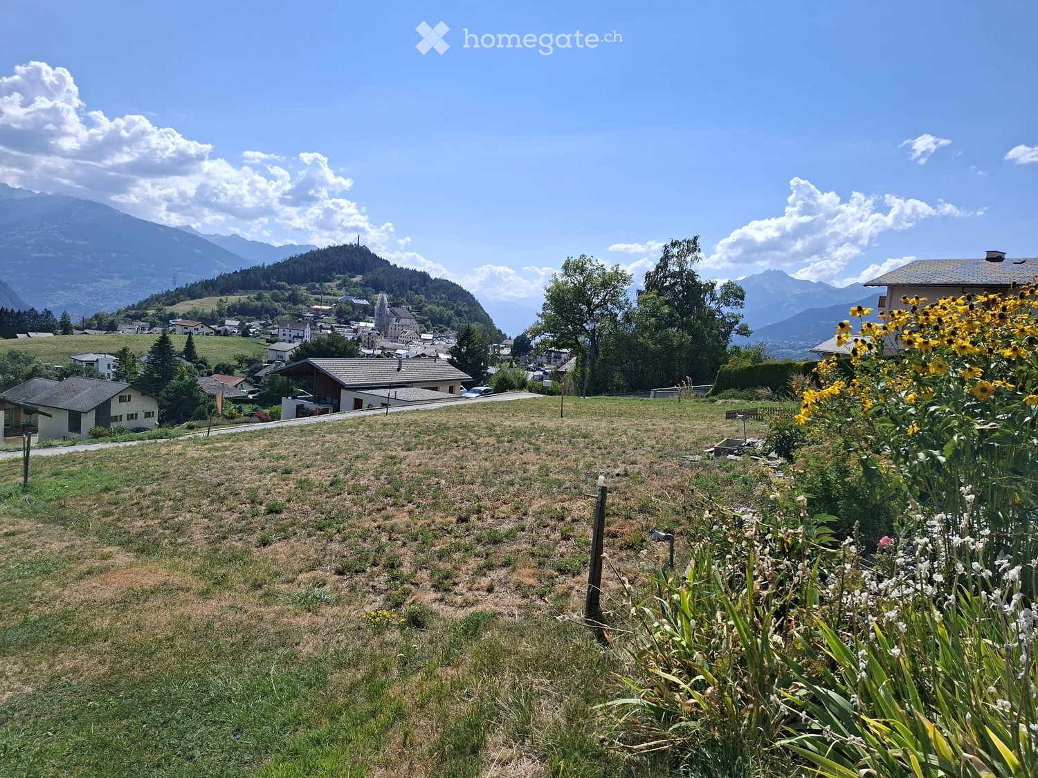 A grassy field with scattered flowers in the foreground, surrounded by houses and trees, with mountains in the background.