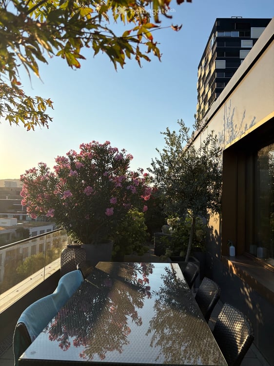 Wunderschöne 3.5-Attikawohnung an der Pfingstweidstrasse 104D, ruhig, Dachterrasse, sonnig, privat 12