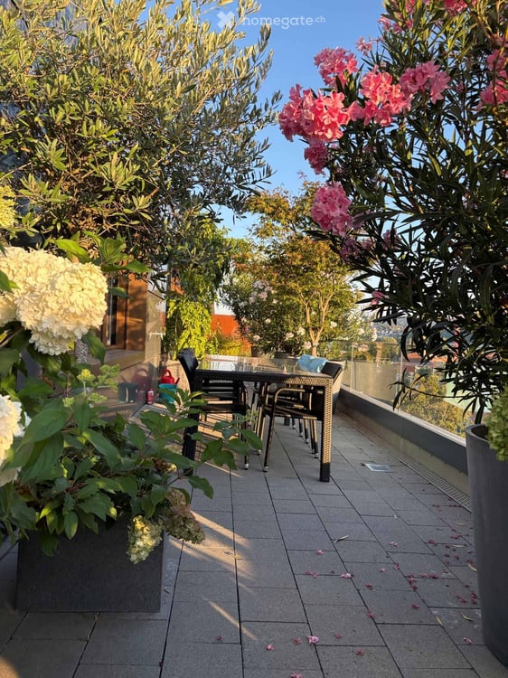 Wunderschöne 3.5-Attikawohnung an der Pfingstweidstrasse 104D, ruhig, Dachterrasse, sonnig, privat 10