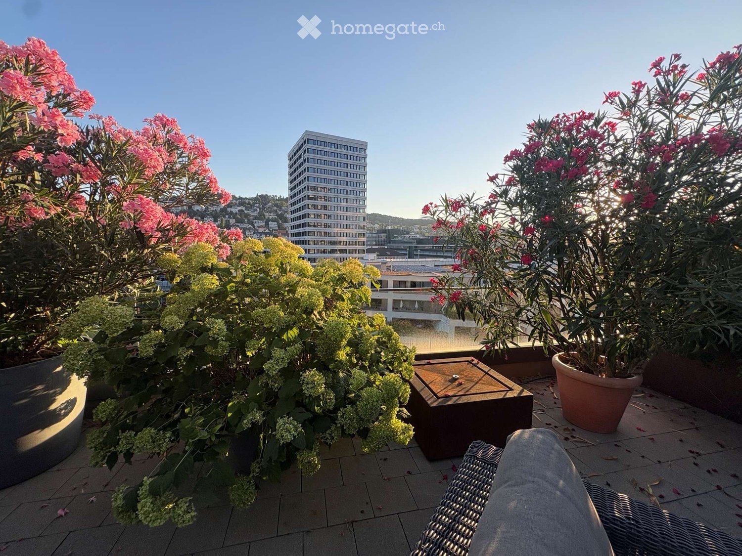 Rooftop terrace with potted plants, a small wooden table, and a wicker chair, overlooking a cityscape with a tall building in the background.