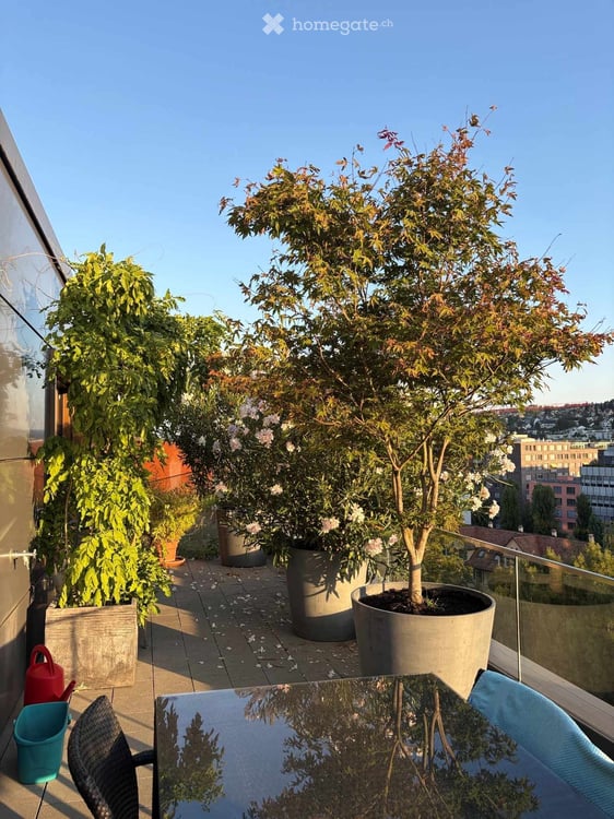 Wunderschöne 3.5-Attikawohnung an der Pfingstweidstrasse 104D, ruhig, Dachterrasse, sonnig, privat 11