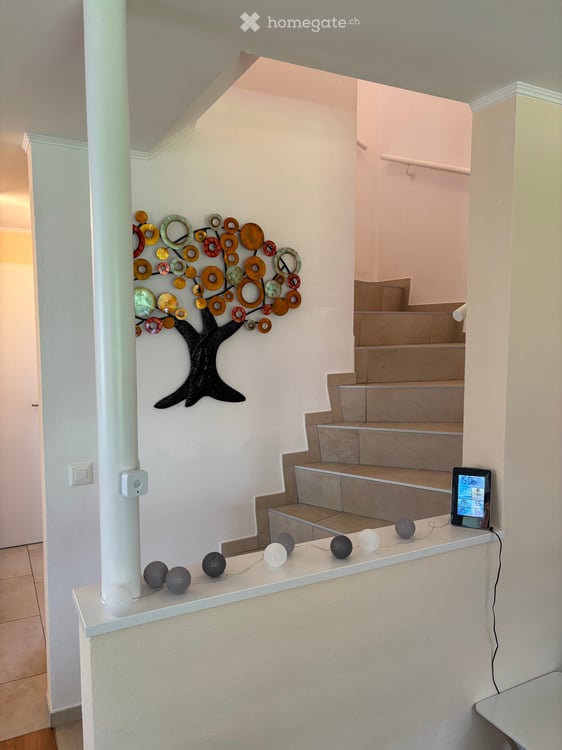 Doppeleinfamilienhaus in Frenkendorf 18