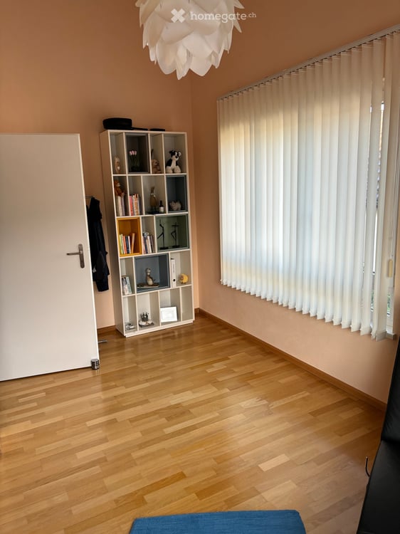 Doppeleinfamilienhaus in Frenkendorf 13