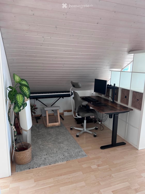 Helle Dachwohnung 14