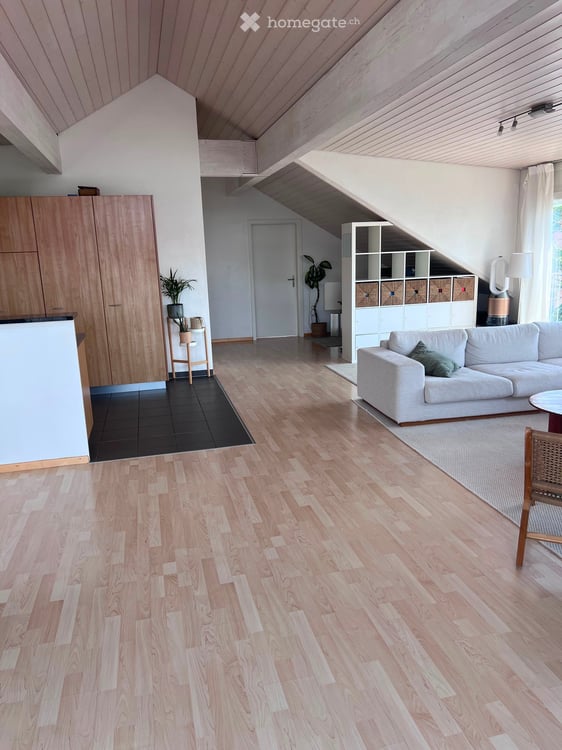 Helle Dachwohnung 13