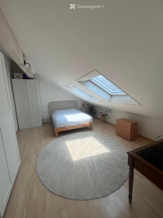 Helle Dachwohnung 3