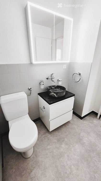 Total renovierte, trendige Wohnung im Herzen von Zürich-Altstetten! 15
