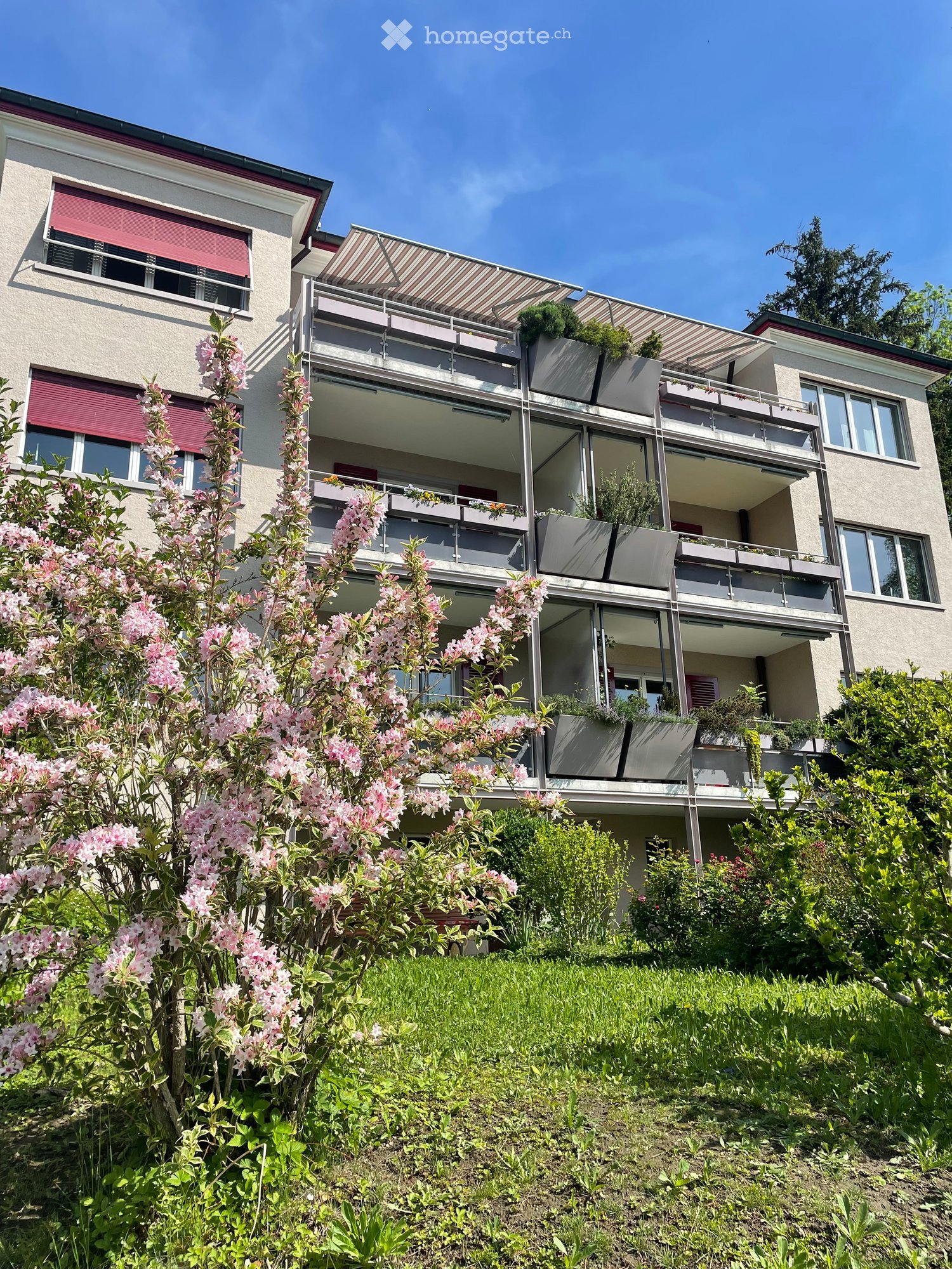 Modern multi-story residential building with balconies, large windows, and surrounding greenery including flowering shrubs and trees.