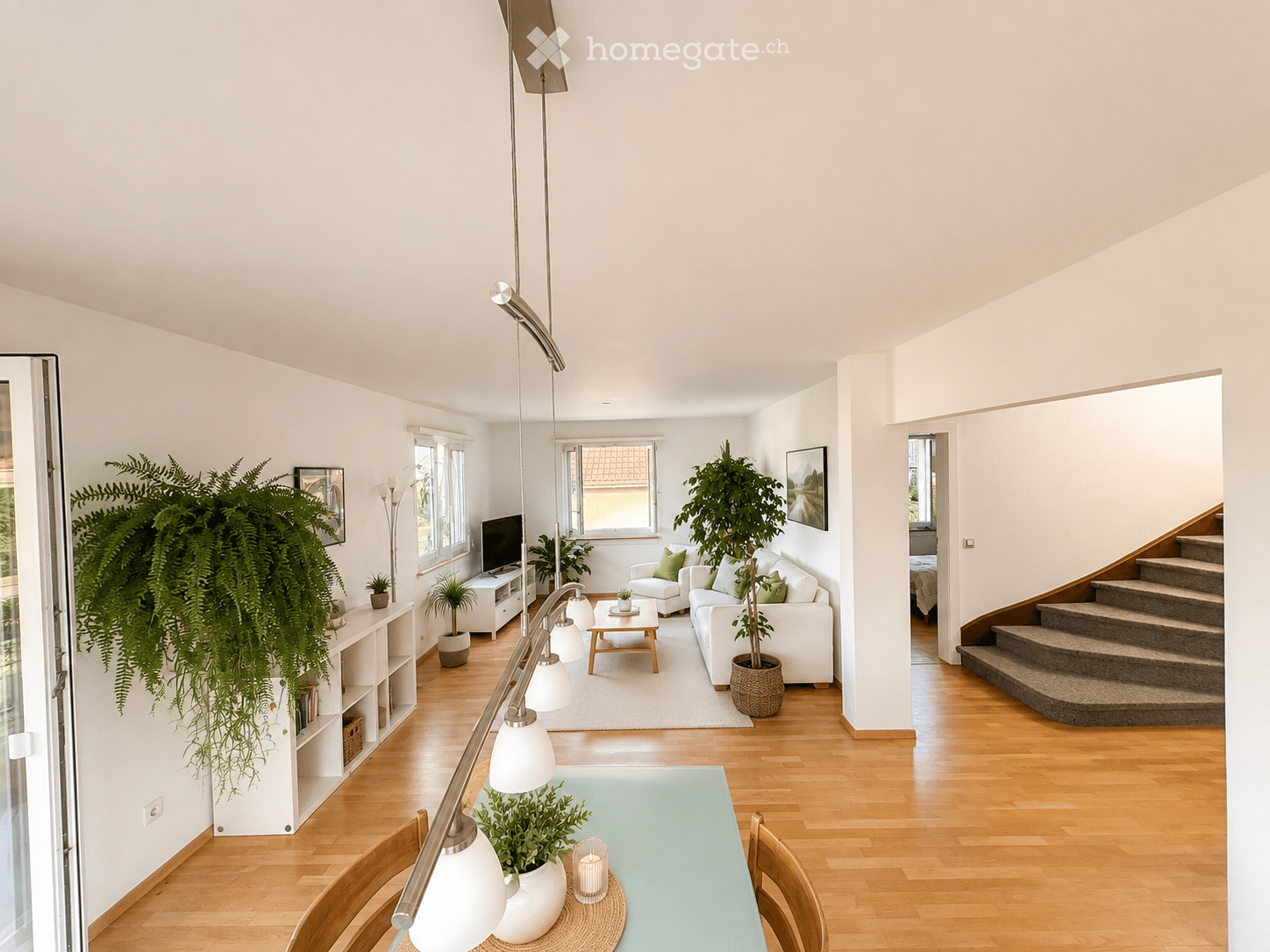 Bright, open living and dining area with light wooden flooring, white walls, large windows, and modern furnishings including a sofa, coffee table, dining table, and potted plants.
