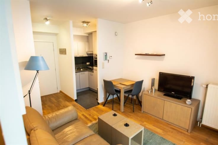 A modern, compact living space with a sofa, coffee table, dining table with chairs, television, floor lamp, and a small kitchen area with cabinets and an oven.